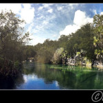 Cenote Escondido, en las cercan√≠as de Tulum