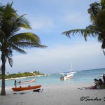 Excursi√≥n en coche a Tulum, nado con tortugas en Akumal y caleta Yalk√∫