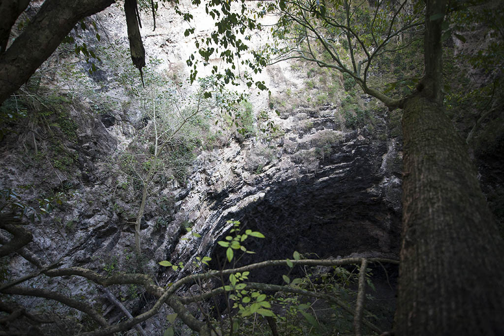 Cueva murcielagos calakmul