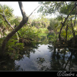 Cenote Cristal, remanso de paz