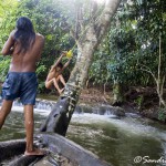 La selva lacandona desde Lacanj√° Chansayab