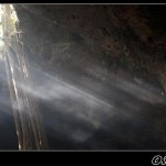 Mul’ichi Ts’on’ot y Xamán, cenotes de Cobá.